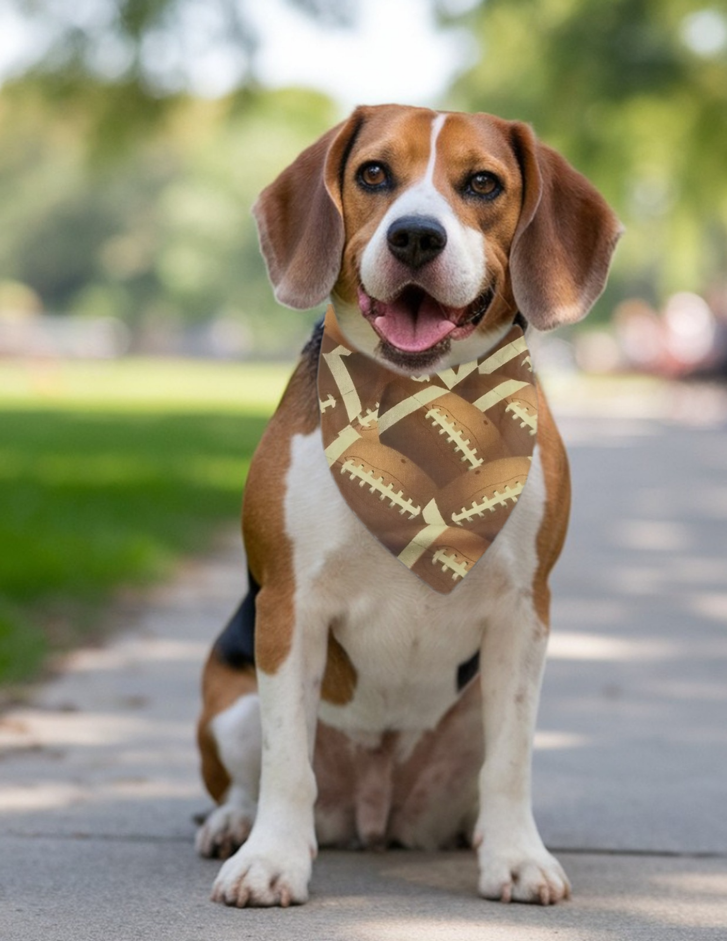 Fun Personalized over collar dog bandana brown football theme