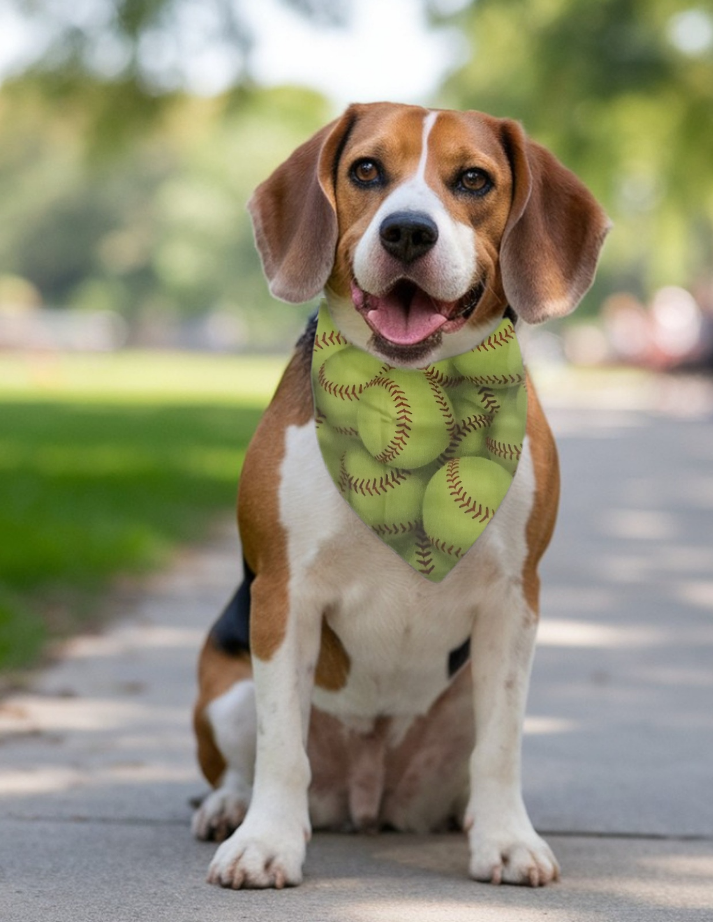 Personalized Softball print pet dog bandana
