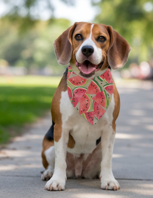 Personalized over collar dog bandana cool red and green watermelon print for summer fun