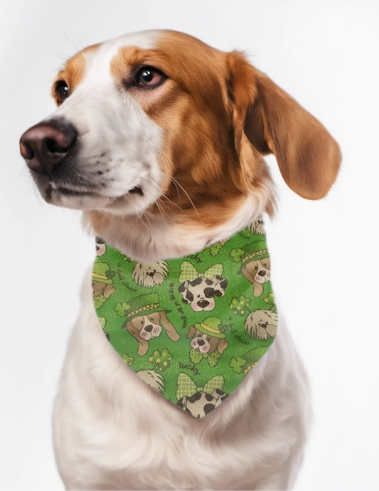 Personalized dog bandana, customized embroidered over the collar puppy scarf St Patrick's lucky dog lover, shamrocks  gold on Irish green